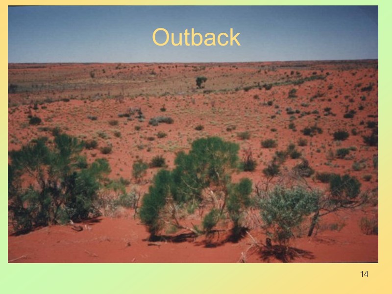 14 Outback
